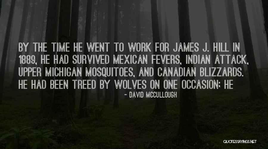 David McCullough Quotes 840555