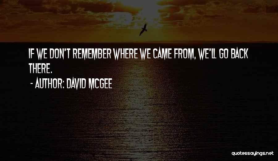 David McGee Quotes 2221307