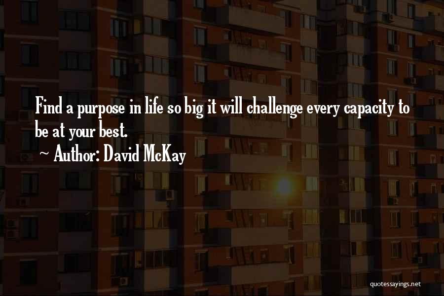 David McKay Quotes 340347