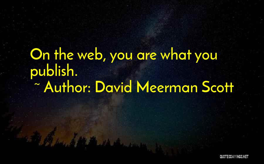 David Meerman Scott Quotes 1708354