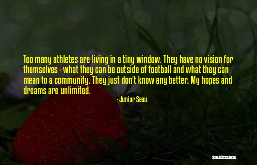 David Menasche Quotes By Junior Seau David Menasche Quotes By Junior Seau