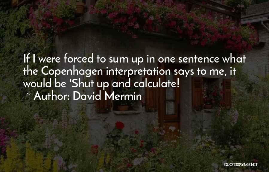 David Mermin Quotes 1602387