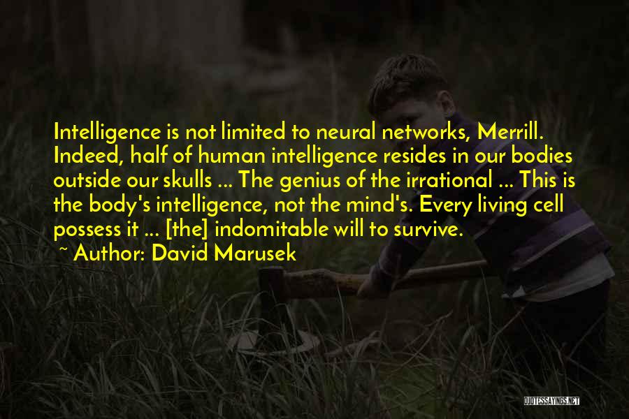 David Merrill Quotes By David Marusek