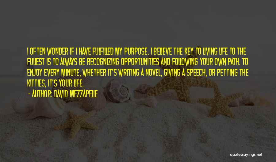 David Mezzapelle Quotes 1106708