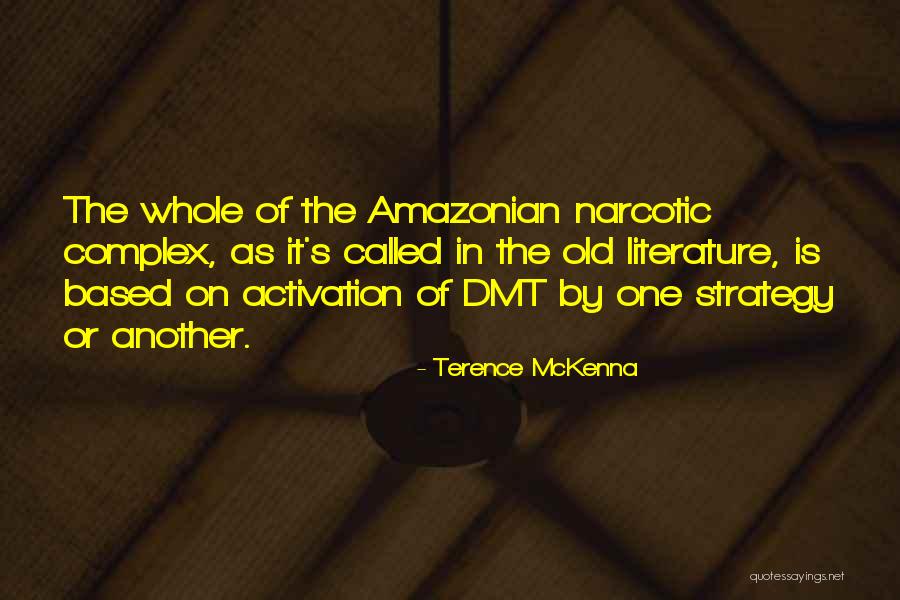 David Michelangelo Quotes By Terence McKenna David Michelangelo Quotes By Terence McKenna