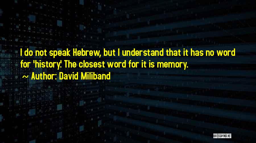 David Miliband Quotes 1140388