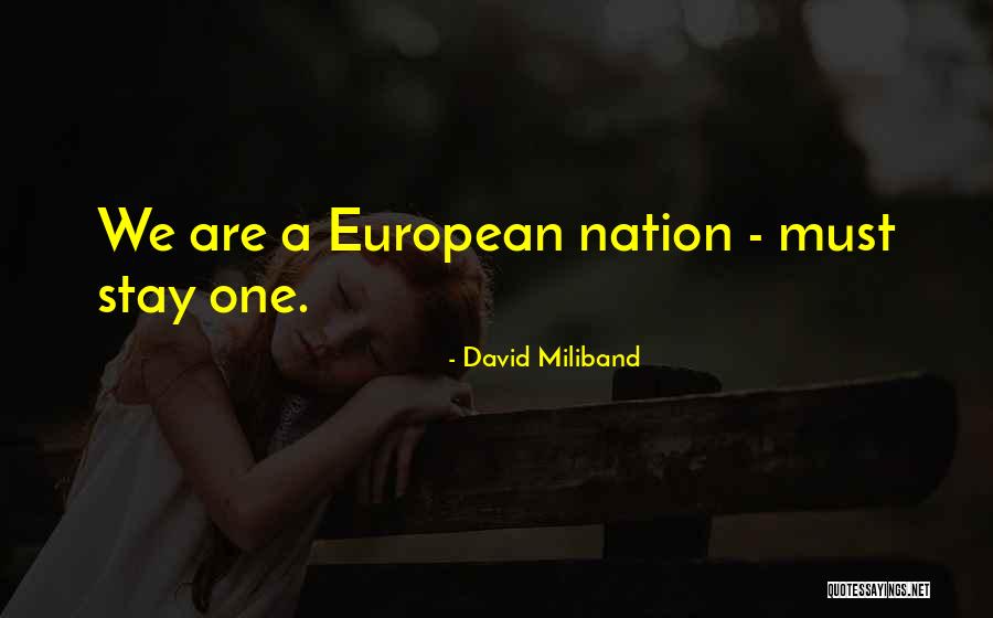 David Miliband Quotes 242572