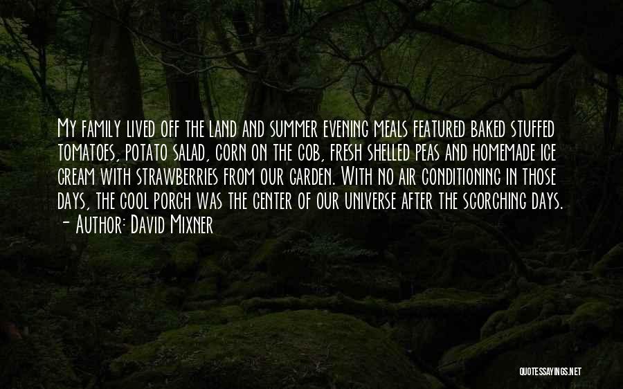 David Mixner Quotes 1498500
