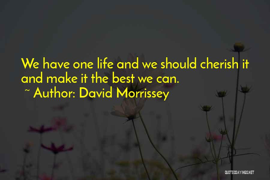 David Morrissey Quotes 1165374