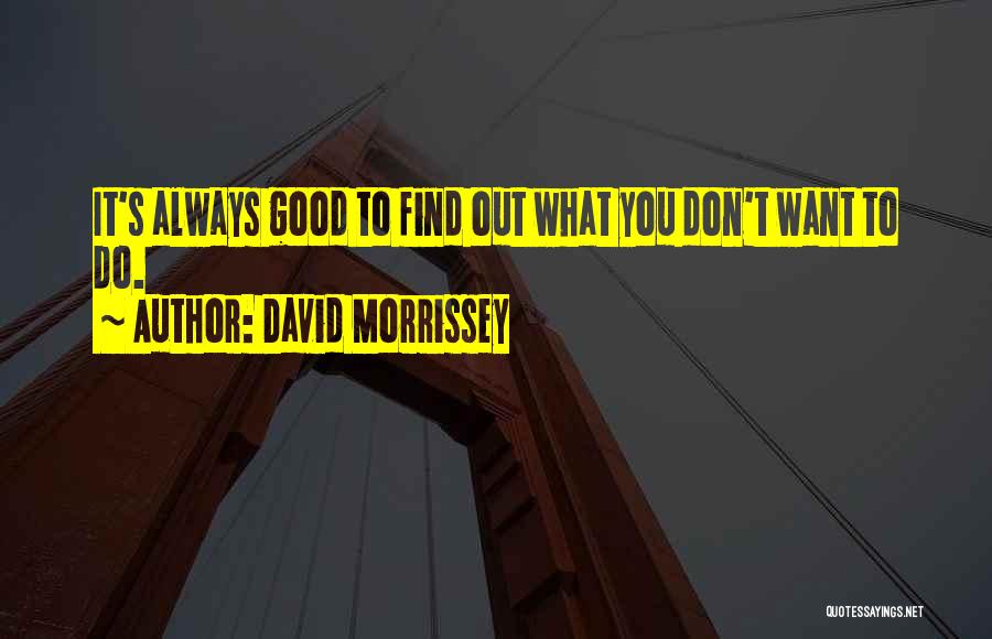 David Morrissey Quotes 2192012