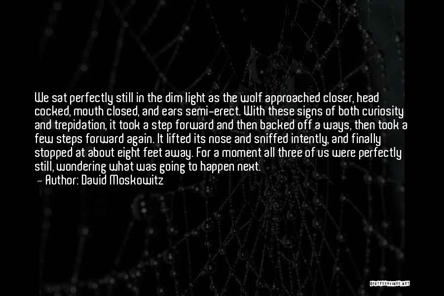 David Moskowitz Quotes 280142