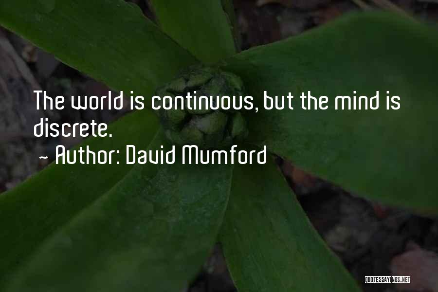 David Mumford Quotes 349898