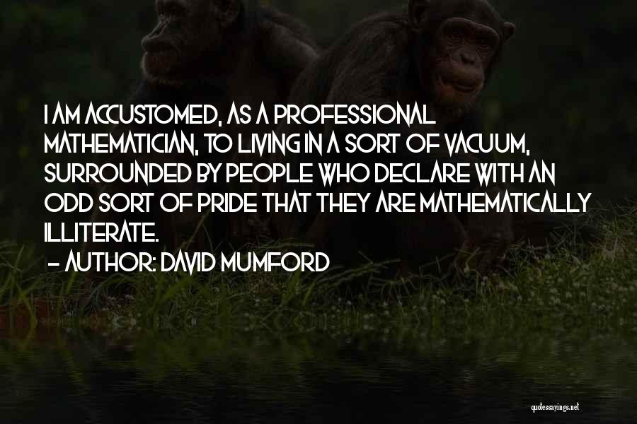 David Mumford Quotes 543014