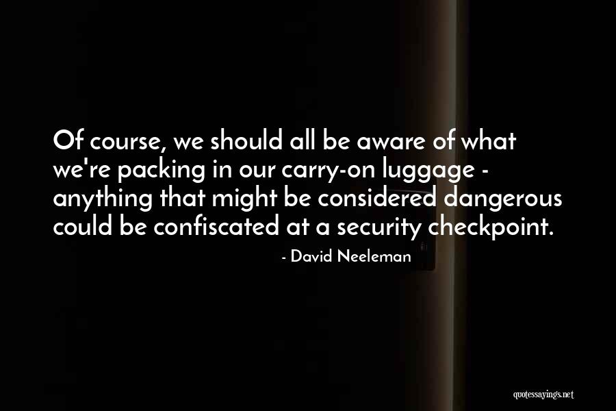 David Neeleman Quotes 2265708