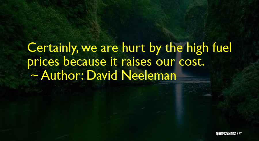 David Neeleman Quotes 350167
