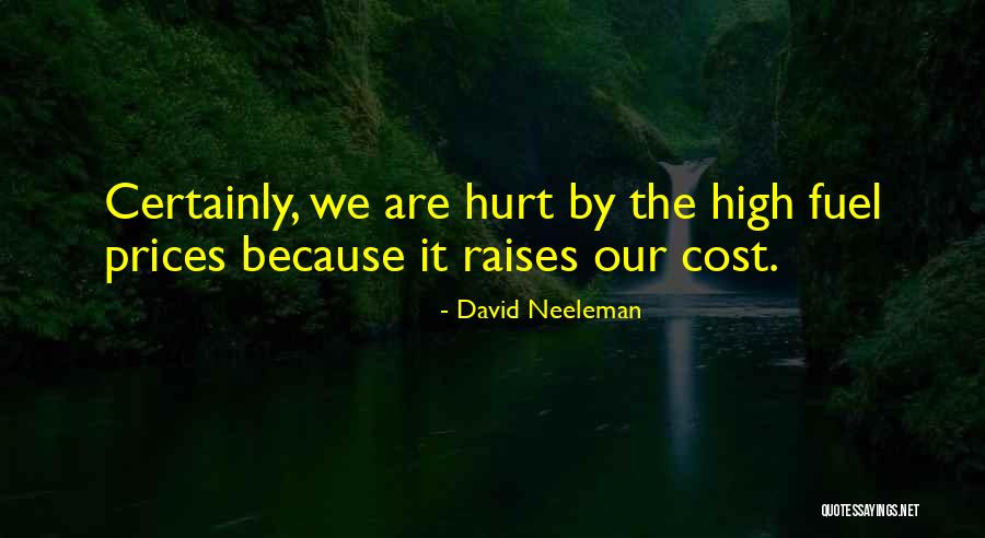 David Neeleman Quotes 350167