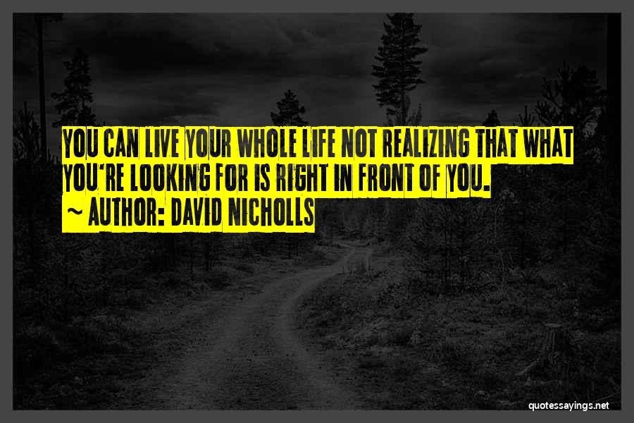 David Nicholls Quotes 2060484