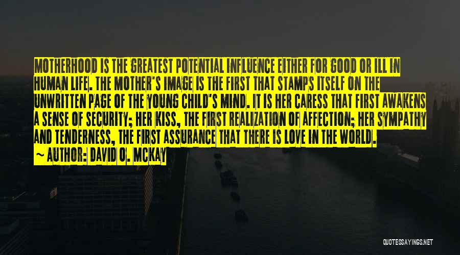 David O. McKay Quotes 1798293