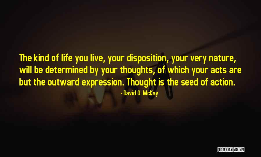 David O. McKay Quotes 374433