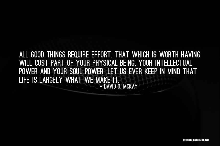 David O. McKay Quotes 967232