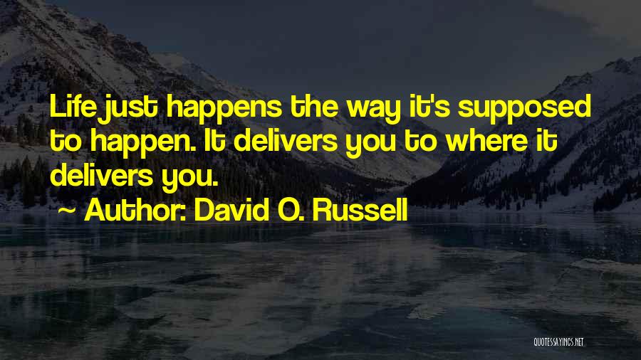 David O. Russell Quotes 1015328