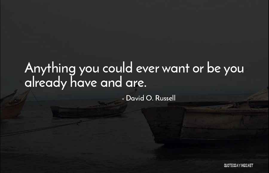 David O. Russell Quotes 536799