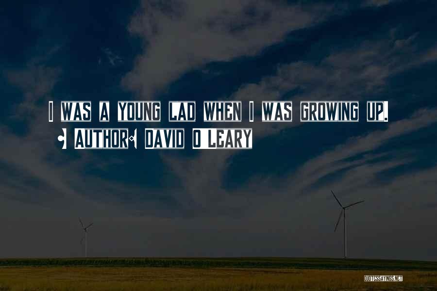 David O'doherty Quotes By David O'Leary