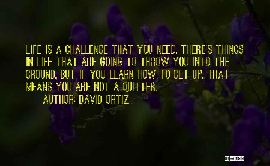 David Ortiz Quotes 299444