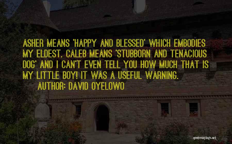 David Oyelowo Quotes 1364442