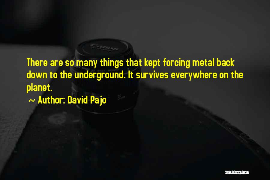 David Pajo Quotes 224757