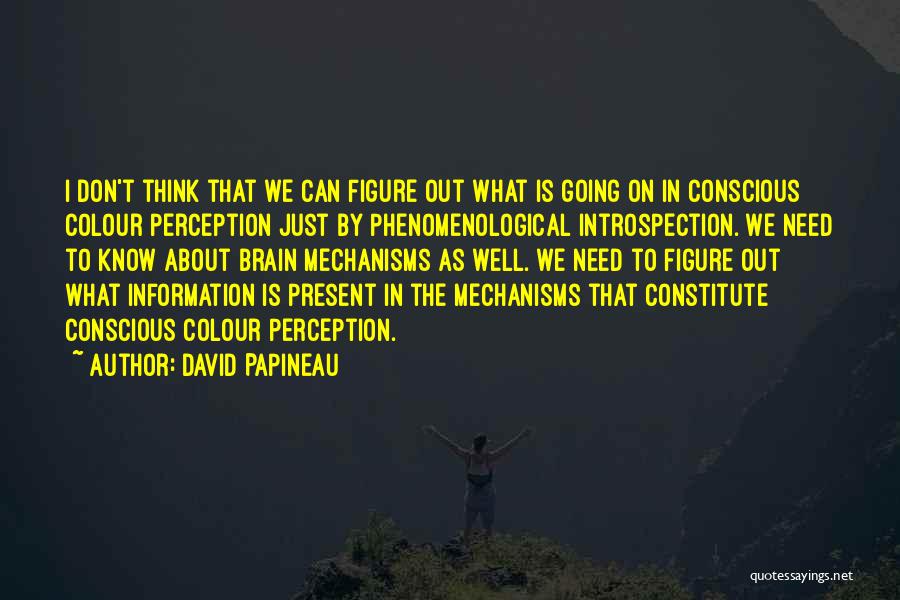 David Papineau Quotes 1185614