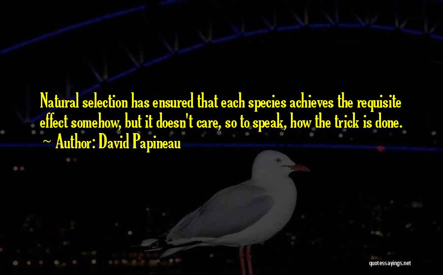 David Papineau Quotes 2047698