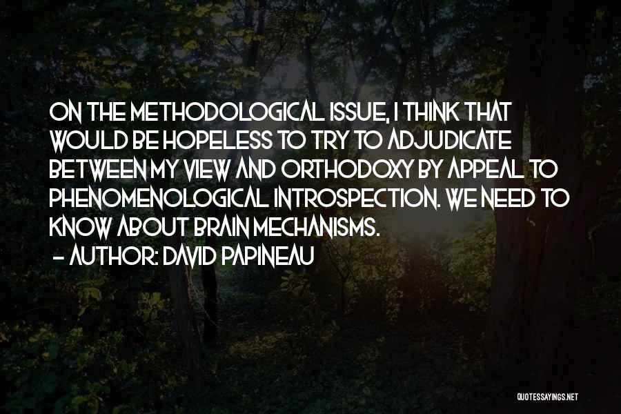 David Papineau Quotes 536265