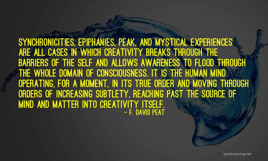 David Peat Quotes By F. David Peat David Peat Quotes By F. David Peat