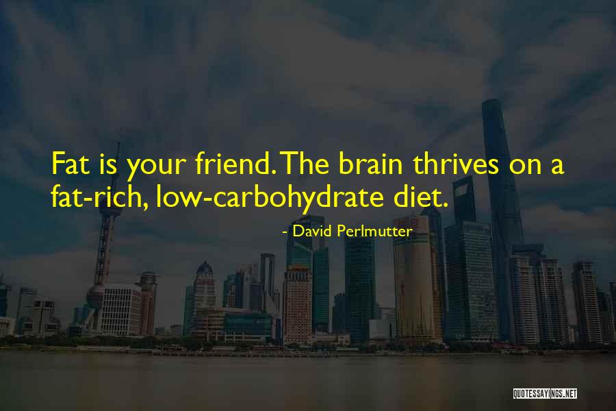 David Perlmutter Quotes 1677381 David Perlmutter Quotes 1677381