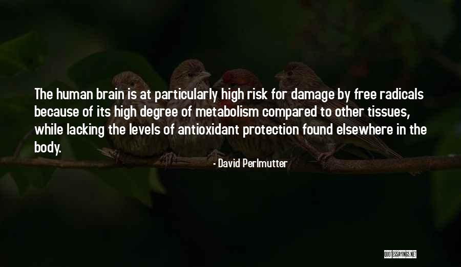 David Perlmutter Quotes 1787914 David Perlmutter Quotes 1787914