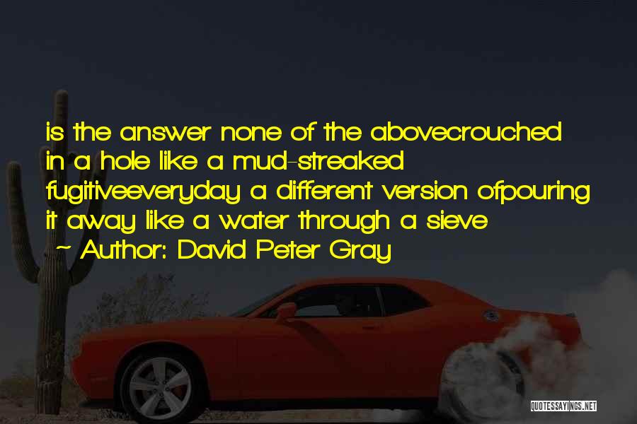 David Peter Gray Quotes 1397523