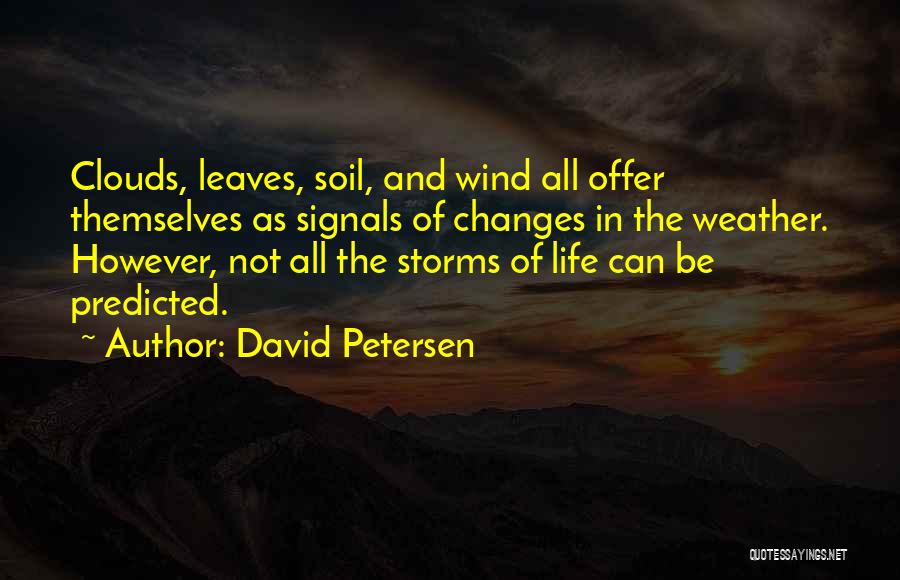 David Petersen Quotes 1647420