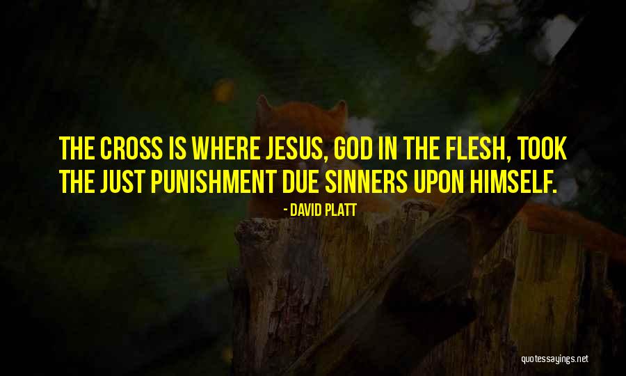 David Platt Quotes 1090234 David Platt Quotes 1090234