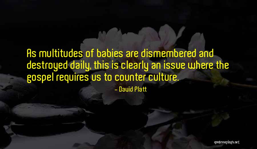 David Platt Quotes 1510246 David Platt Quotes 1510246
