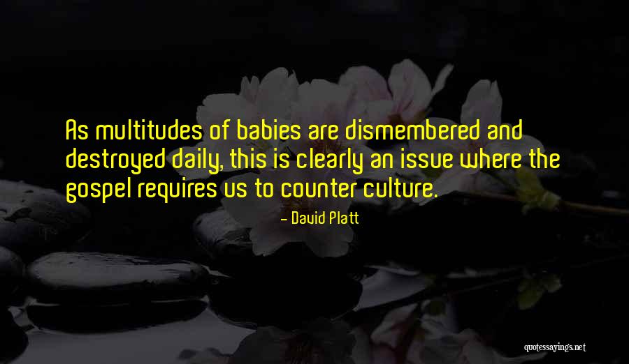 David Platt Quotes 1510246