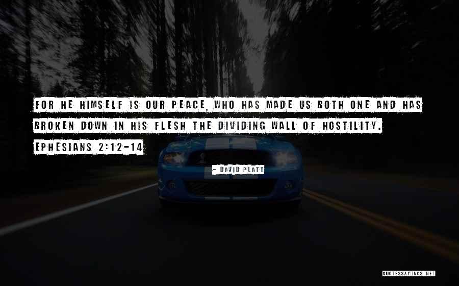 David Platt Quotes 1833409 David Platt Quotes 1833409