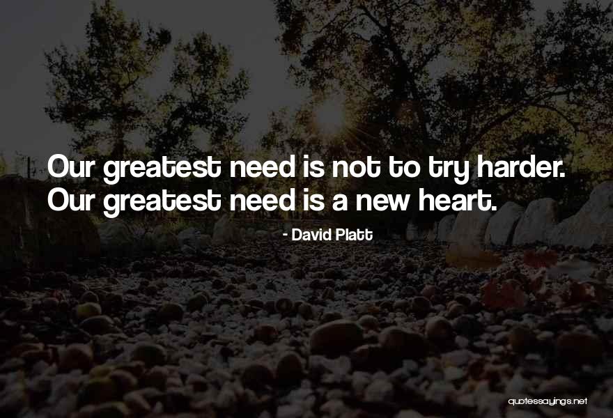 David Platt Quotes 2029667