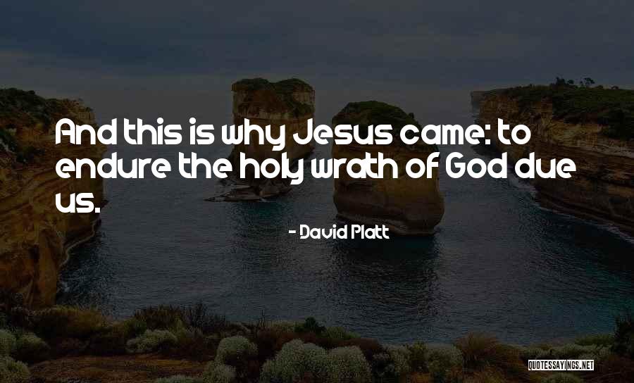 David Platt Quotes 507305