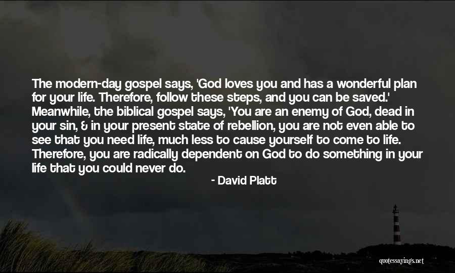 David Platt Quotes 782379