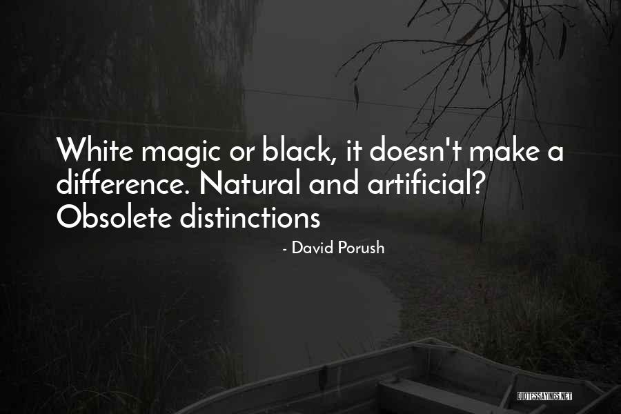 David Porush Quotes 2213916