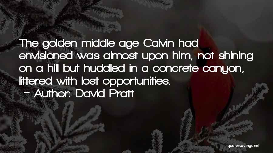 David Pratt Quotes 227287