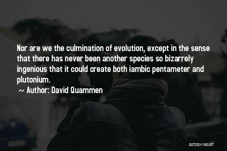 David Quammen Quotes 1072797