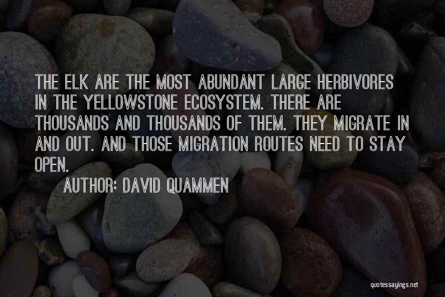 David Quammen Quotes 1482349