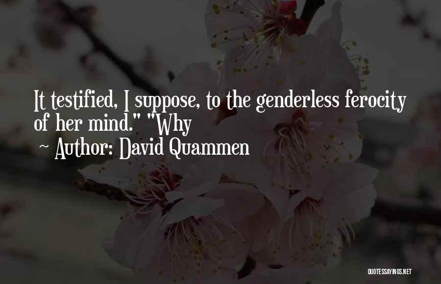 David Quammen Quotes 1813381